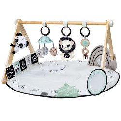 Tiny Love Активна гимнастика Luxe Gymini Black&White Decor, 0м+