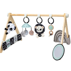 Tiny Love Активна гимнастика Luxe Gymini Black&White Decor, 0м+