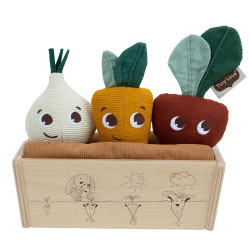 Tiny Love Kомплект Моята Първа Градина от Еко серията Garden of Adventures, 18м+