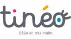 Tineo