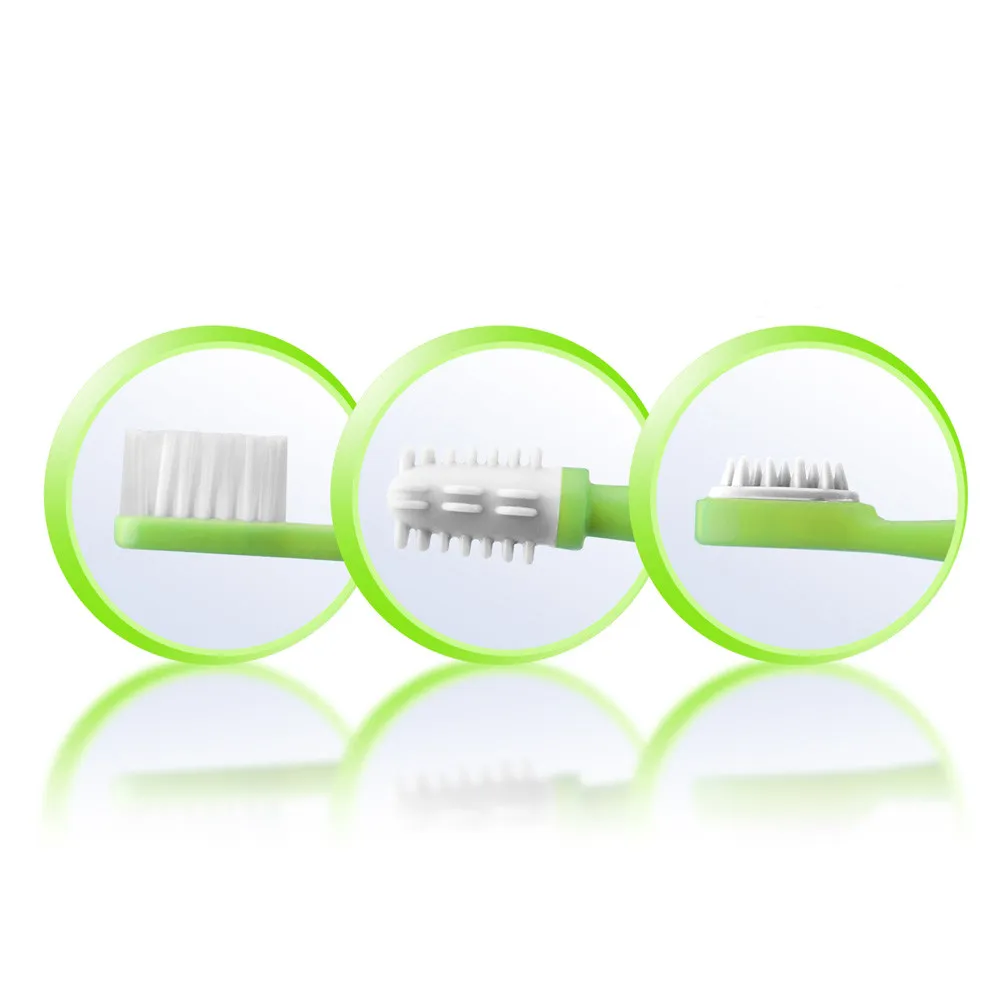 https://www.roshko.bg/media/catalog/product/cache/1/image/9df78eab33525d08d6e5fb8d27136e95/7/9/Reer Комплект четки за зъби.webp