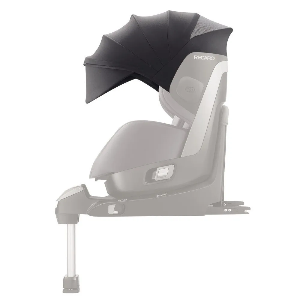 https://www.roshko.bg/media/catalog/product/cache/1/image/9df78eab33525d08d6e5fb8d27136e95/a/l/Recaro Сенник за столче за кола Zero.webp