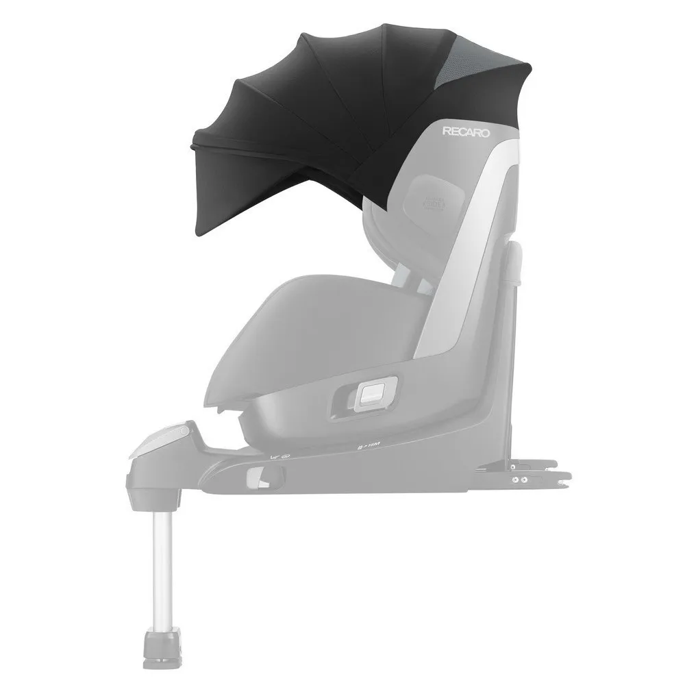 https://www.roshko.bg/media/catalog/product/cache/1/image/9df78eab33525d08d6e5fb8d27136e95/c/a/Recaro Сенник за столче за кола Zero.webp