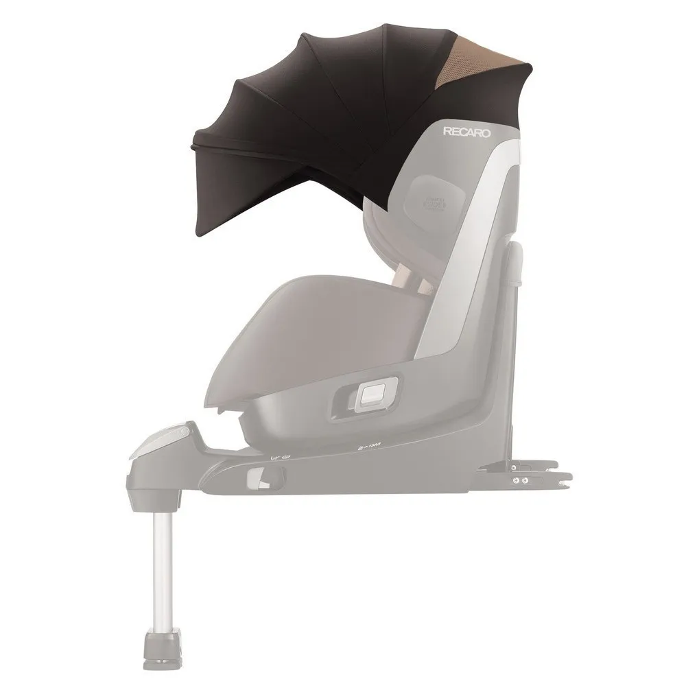 https://www.roshko.bg/media/catalog/product/cache/1/image/9df78eab33525d08d6e5fb8d27136e95/d/a/Recaro Сенник за столче за кола Zero.webp