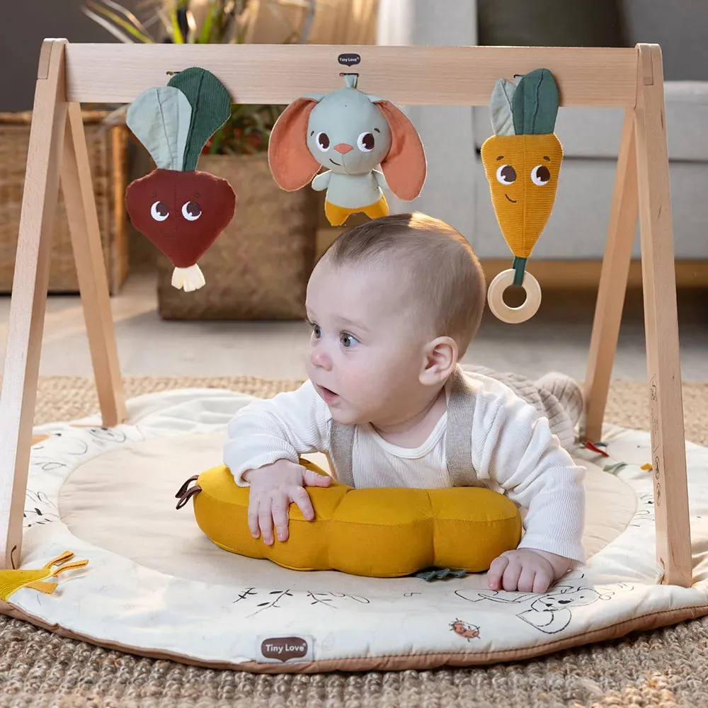 https://www.roshko.bg/media/catalog/product/cache/1/image/9df78eab33525d08d6e5fb8d27136e95/e/k/Tiny Love Активна гимнастика Luxe Gymini от Еко серията Garden of Adventures.webp