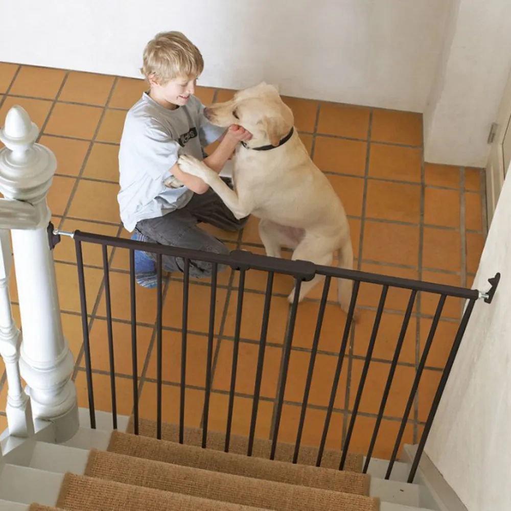 https://www.roshko.bg/media/catalog/product/cache/1/image/9df78eab33525d08d6e5fb8d27136e95/i/m/BabyDan преграда Pet Streamline.webp