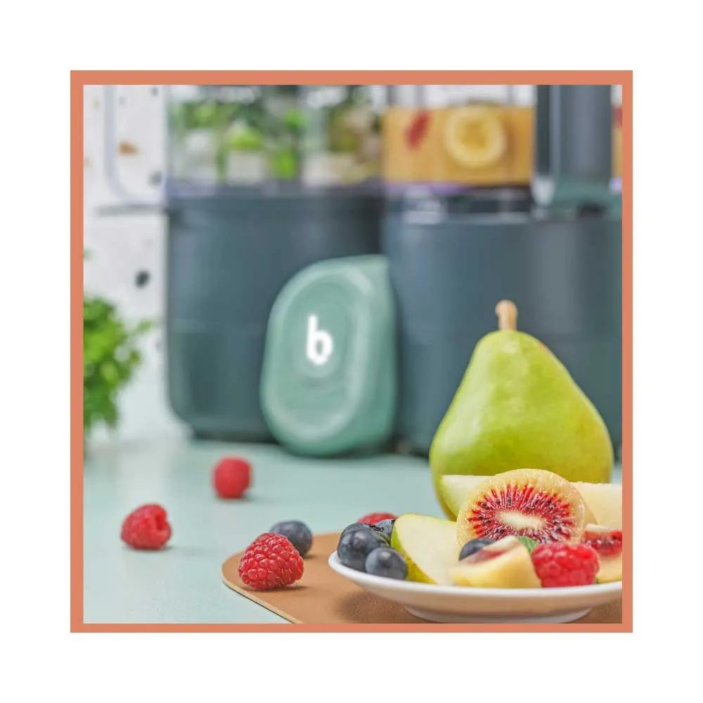 https://www.roshko.bg/media/catalog/product/cache/1/image/9df78eab33525d08d6e5fb8d27136e95/n/u/Babymoov Nutribaby ONE уред за готвене на пара 4 в 1 10.webp