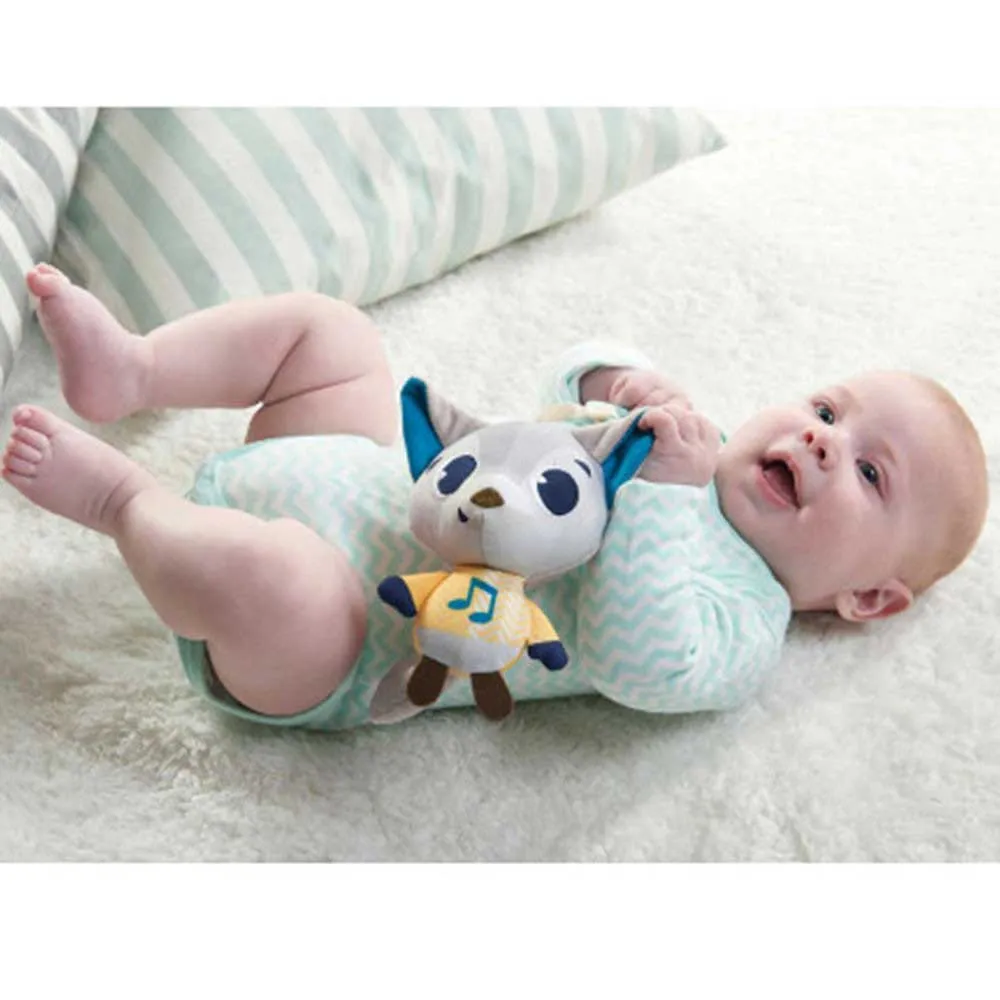 https://www.roshko.bg/media/catalog/product/cache/1/image/9df78eab33525d08d6e5fb8d27136e95/p/o/Tiny Love Polar Wonders™ Rob музикална играчка - хъскито Роб 2.webp