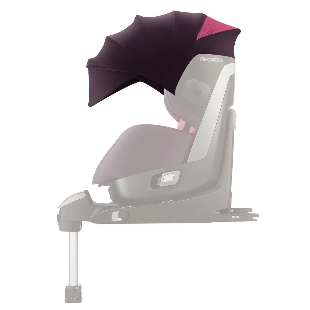 https://www.roshko.bg/media/catalog/product/cache/1/image/9df78eab33525d08d6e5fb8d27136e95/p/o/Recaro Сенник за столче за кола Zero.webp