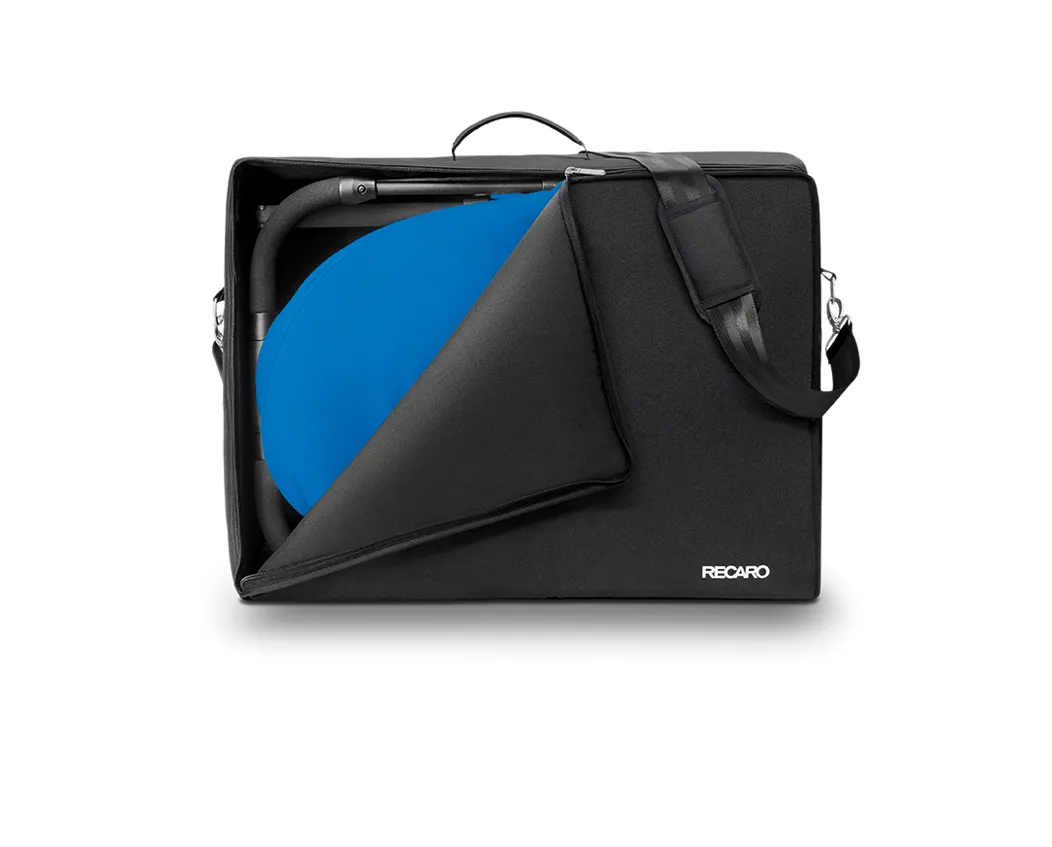 https://www.roshko.bg/media/catalog/product/cache/1/image/9df78eab33525d08d6e5fb8d27136e95/r/e/Recaro чанта за транспортиране Carry Bag Easylife.webp