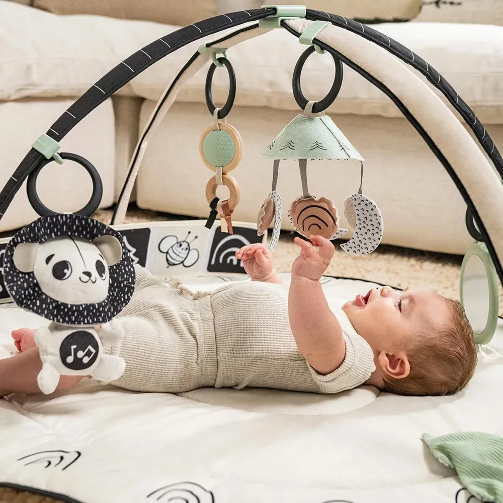 https://www.roshko.bg/media/catalog/product/cache/1/image/9df78eab33525d08d6e5fb8d27136e95/t/i/Tiny Love Активна Гимнастика Black&White Decor, 0м+.webp