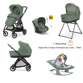 bebeshka-kolichka-electa-Murray Green