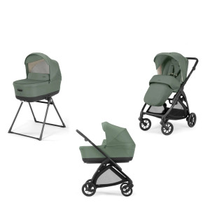 bebshka-kolichka-electa-Murray Green