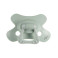 Difrax Dental Pacifier Pure ортодонтична залъгалка за бебе 6+ м - Pistache